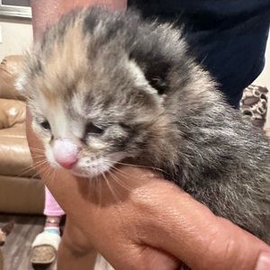 Meet your Posher, Julissa